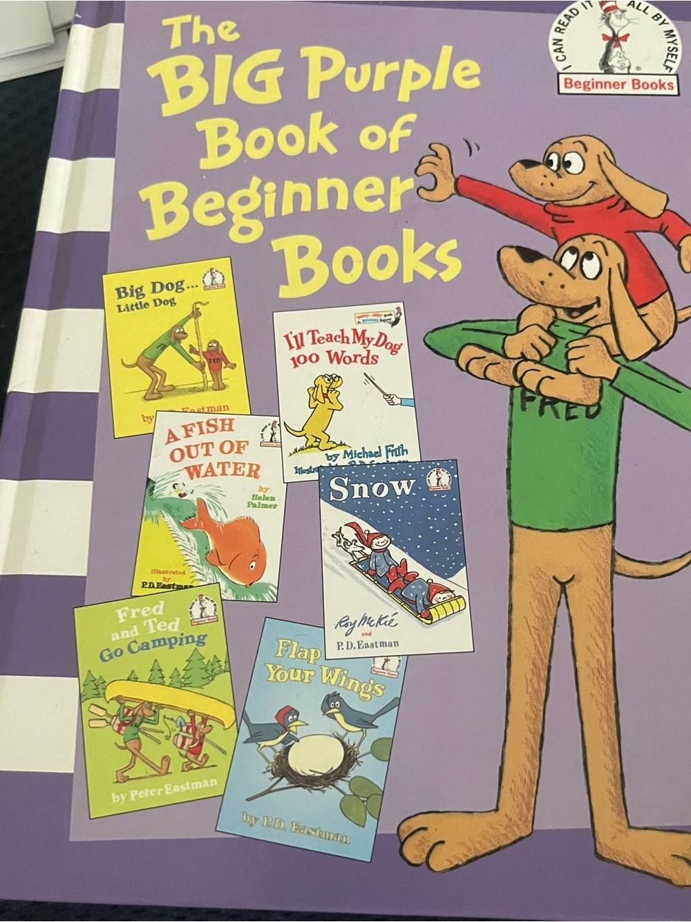 The BIG Purple Book of Beginner Books